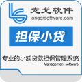 龙戈担保小贷综合业务管理系统