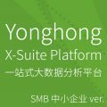 Yonghong X-Suite 永洪一站式大数据分析平台