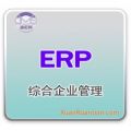 迪尼柯综合企业ERP系统