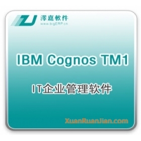 IBM Cognos TM1 